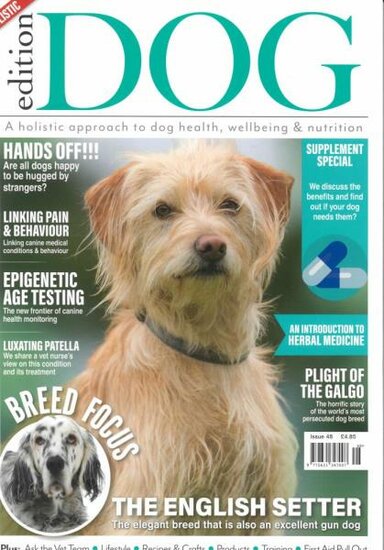 Edition Dog Magazine