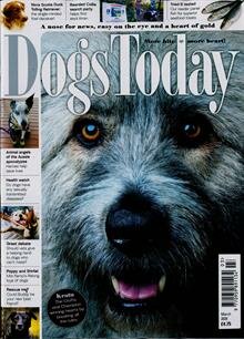 Dogs Today Magazine