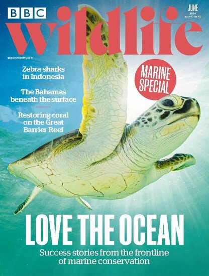 BBC Wildlife Magazine