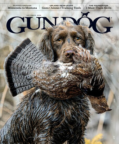 Gun Dog Magazine