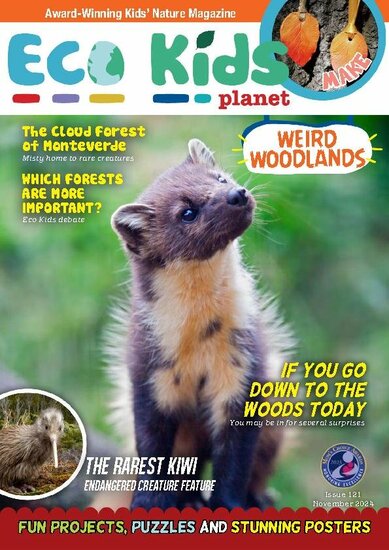 Eco Kids Planet Magazine