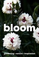 Bloom Magazine