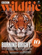 BBC Wildlife Magazine