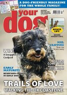 Your Dog Magazine