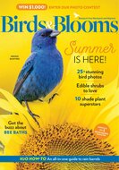 Birds &amp; Blooms Magazine