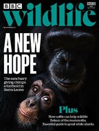 BBC Wildlife Magazine